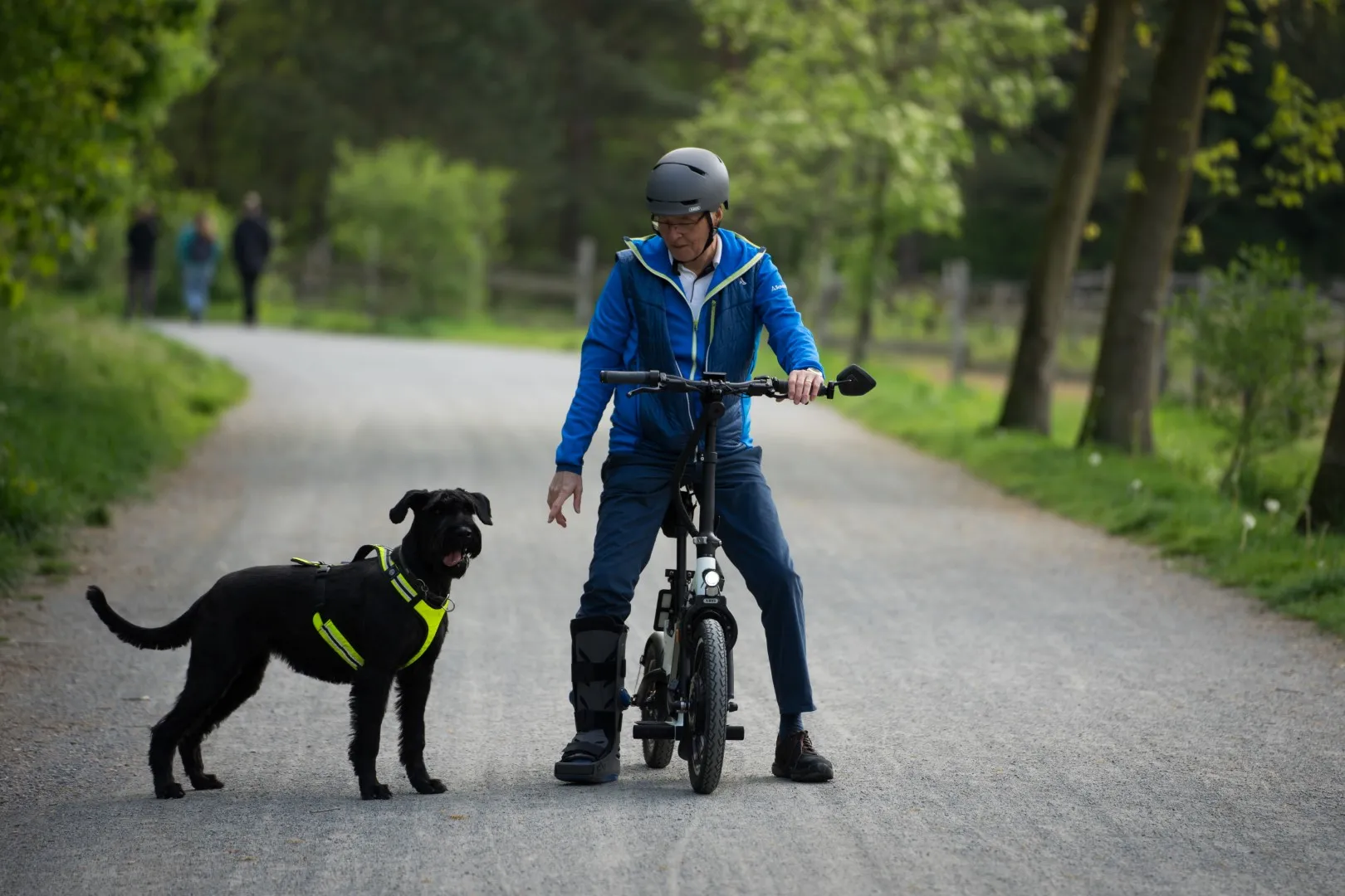 E Scooter für Hund zum Gassi gehen