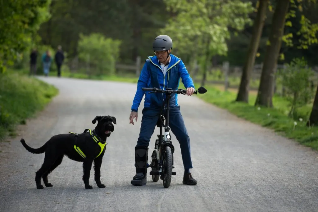 E Scooter zum Gassi gehen mit Hund - STEEREON C30